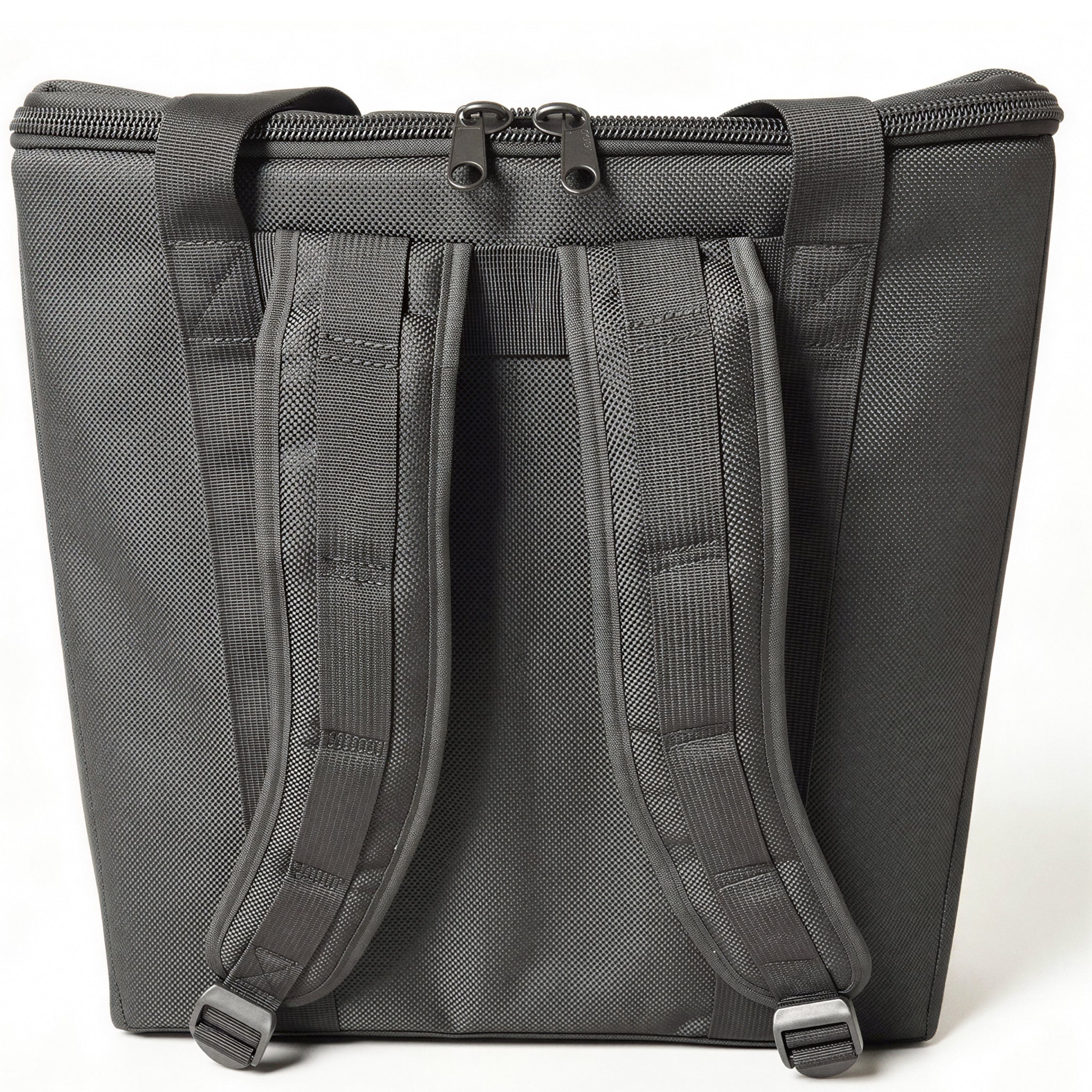 D'Luca BG Series Accordion Gig Bag for 48/60 Bass Piano Accordions, Black