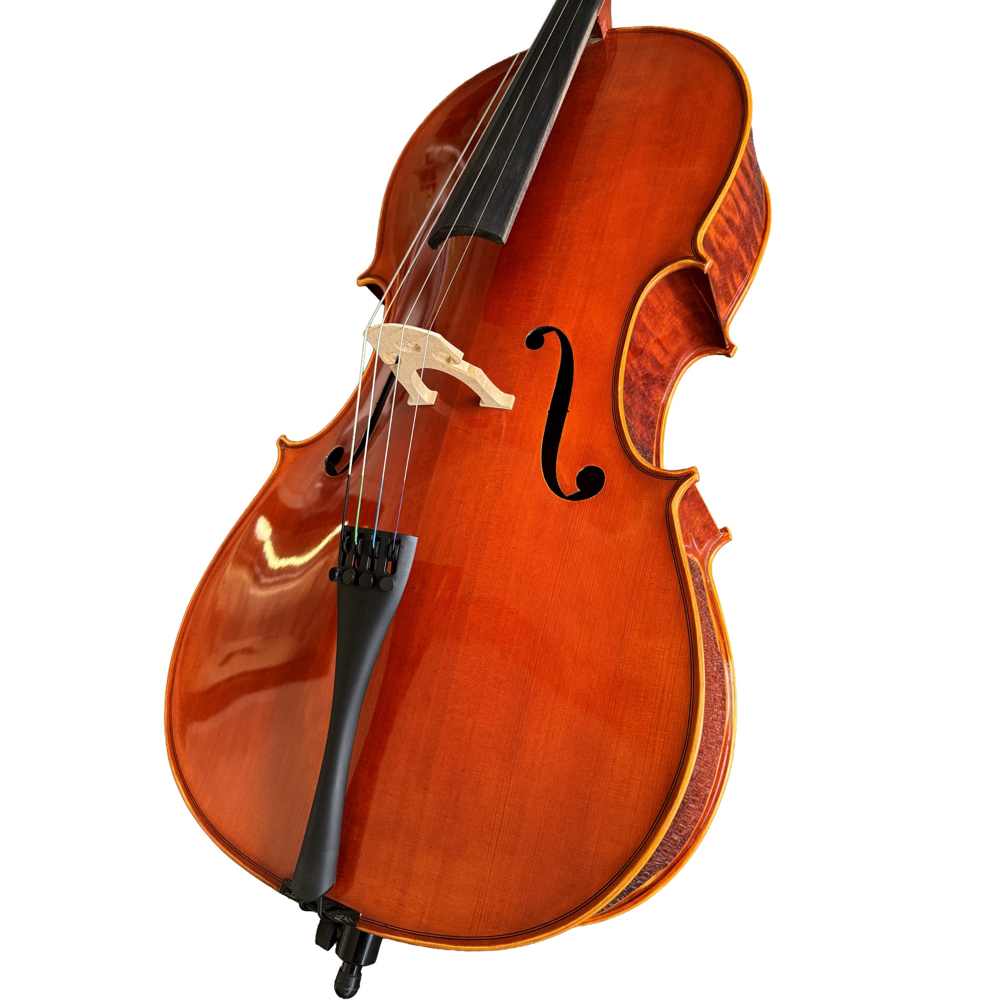 D’Luca Tonmeister 400 Ebony Fitted Cello Outfit 1/2 Size with Bow and Gig Bag