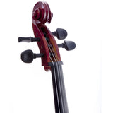 D'Luca Meister Student Cello Package 1/16 Size w/Stand, Bag, Tuner, Rosin & Bow
