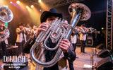 D'Luca MX280 Series Gold Brass Alto Horn with Case