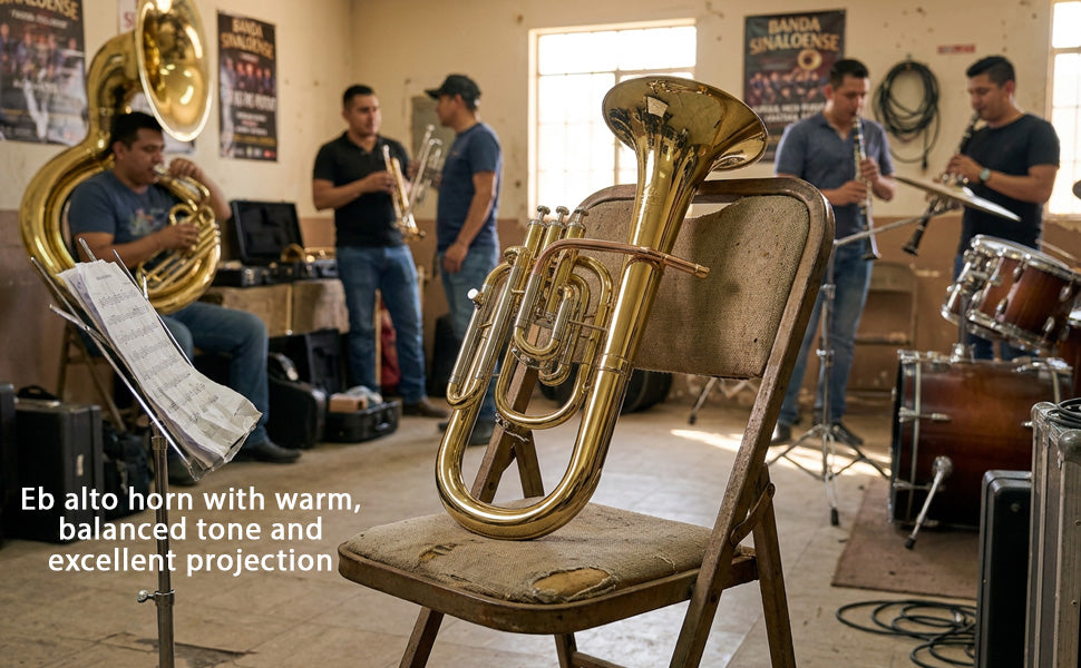 D'Luca MX280 Series Gold Brass Alto Horn with Case