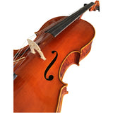 D’Luca Tonmeister 400 Ebony Fitted Cello Outfit 3/4 Size with Bow and Gig Bag