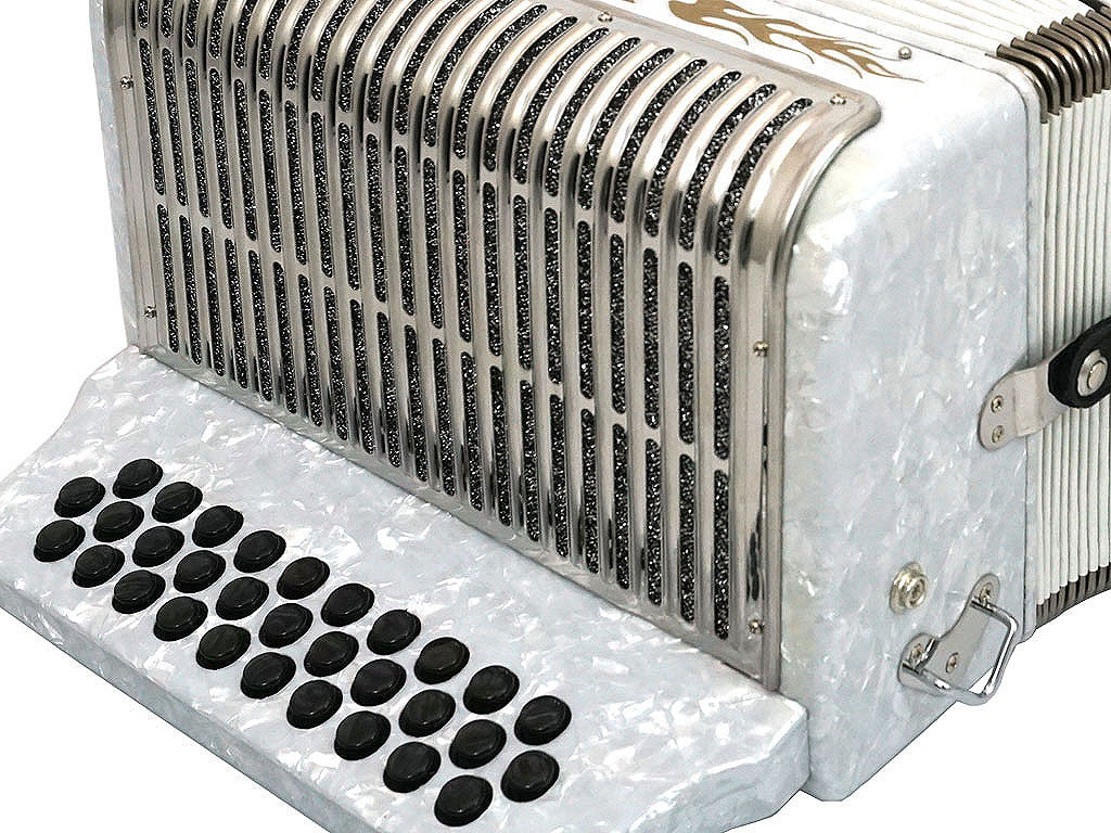 D'Luca Toro Button Accordion 31 Keys 12 Bass on FBE Key with Case and Straps, White