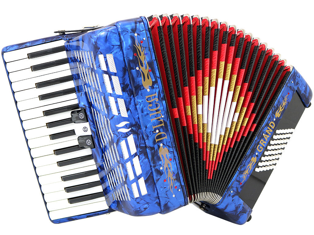 D'Luca Grand Piano Accordion 3 Switches 30 Keys 48 Bass with Case and Straps, Blue