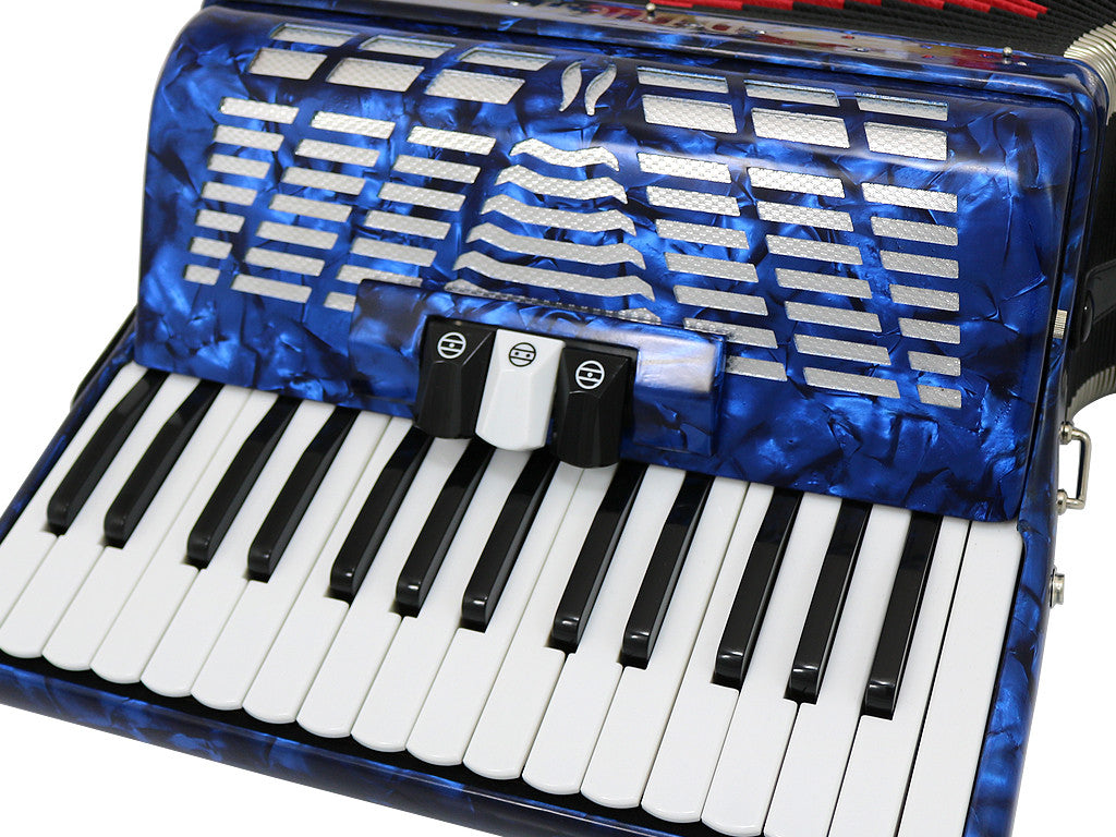 D'Luca Grand Piano Accordion 3 Switches 30 Keys 48 Bass with Case and Straps, Blue