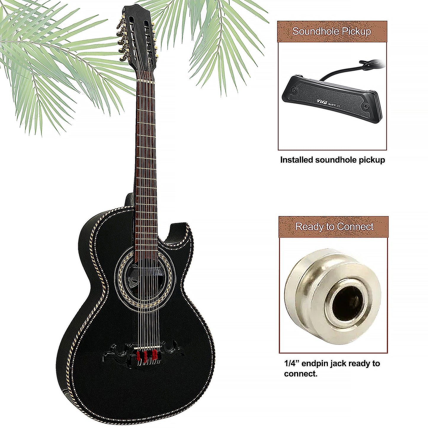D'Luca Paracho Bajo Quinto Acoustic-Electric Black